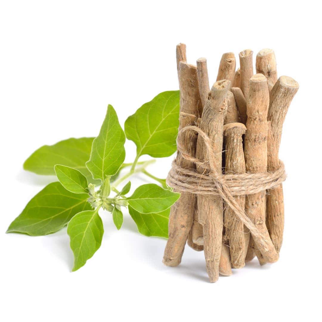 Best iodine supplement for hypothyroidism sales